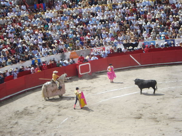 only one time experiance: bullfight while fiestas de quito. for 15$ six killed bulls. sometimes it was quiet a slaughtery, but one bull catched a torrero aswell, good boy. awsome was the ambiance and the people...