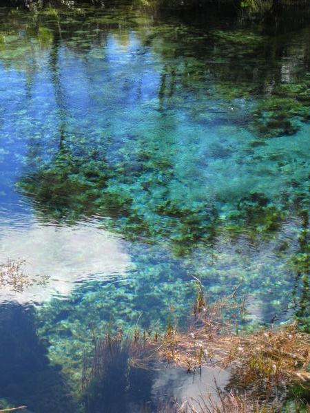 this is the world's clearest spring( how do we mesure this:-?) 14'000 liters a second