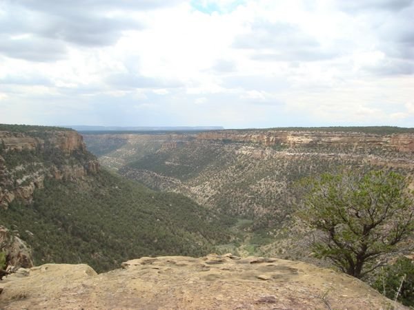 Mesa Verde 2