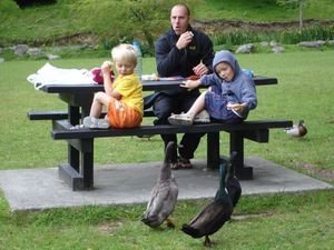 Picknick in der wilden Natur Neuseelands...