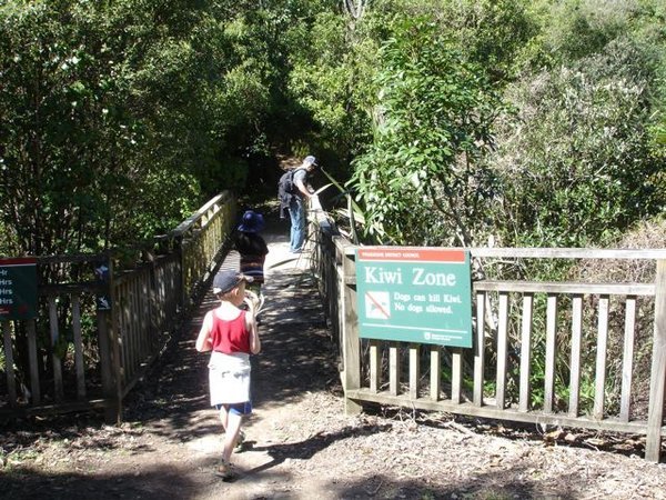 los gehts - unsere Wanderung zum Kohi point