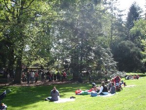 tree climbing event im Yatton park