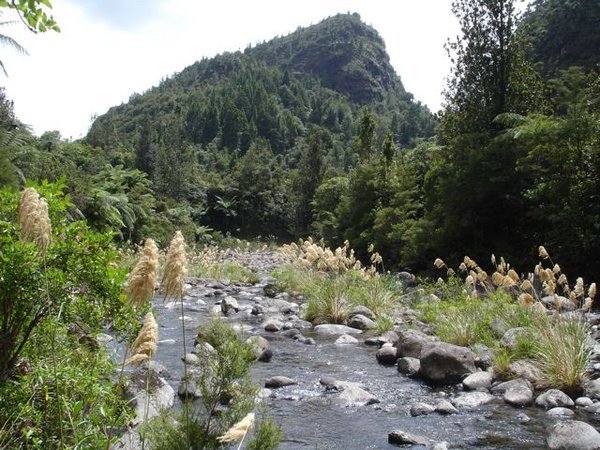 der Waitawheta River im Herzen der Kaimai Range
