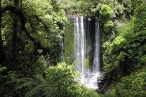 Juwel im Wald - Korokoro Falls