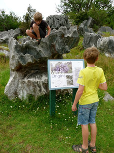 Waio Limestone Reserve