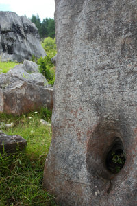 Waio Limestone Reserve