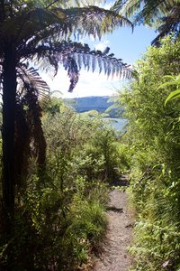 Tarawera trail