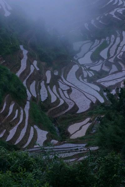 Rice terraces in Pingan