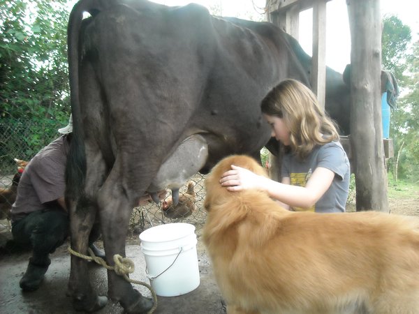 Nikki and Sam working on the cow together.