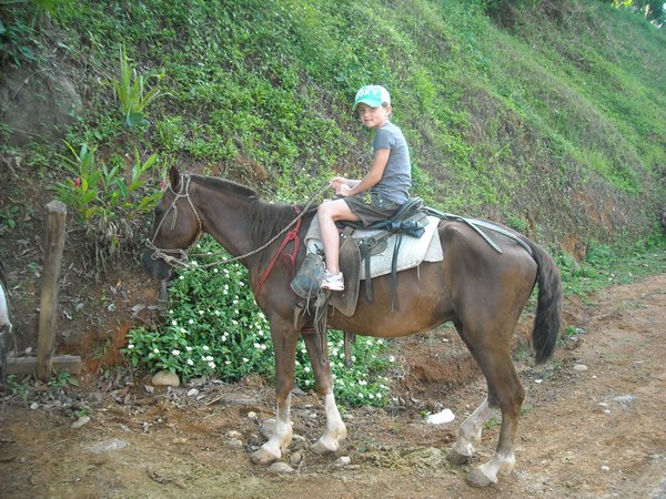 Nikki riding the second largest horse of the entire group, "Din"