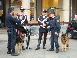policemen in the square