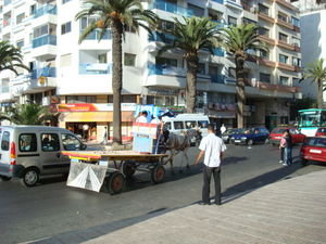  almost any mode of transportation on the streets of downtown Casablance