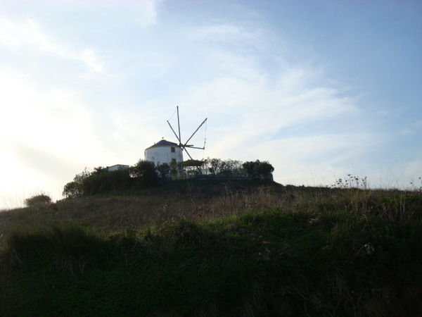 farm and wind mill