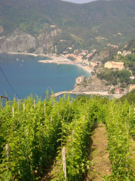 view back to Monterosso