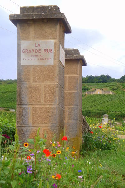 Gate into a prized vineyard