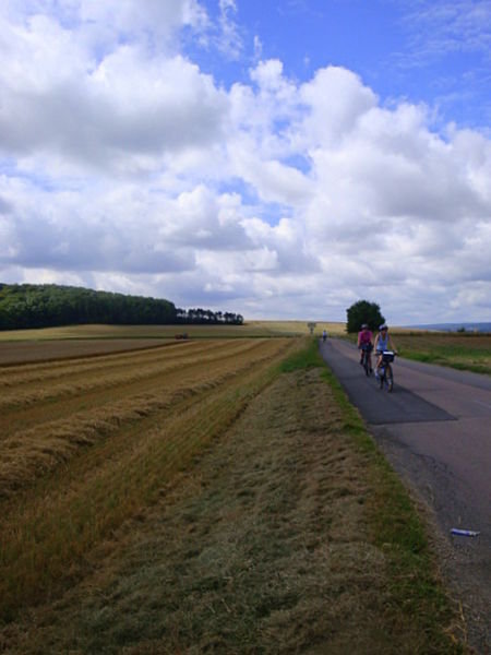 riders in the landscape