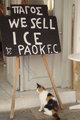 ice for sale
