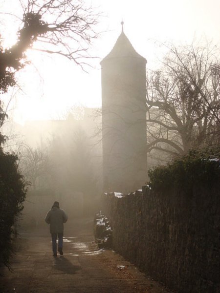 walking in the morning mist