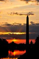 dawn in Washington D.C. 