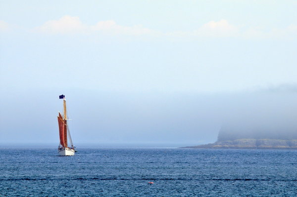 schooner coming out of the fog