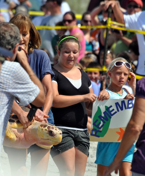 2011, the turtle named "Remembrance"