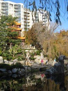 Chinese Gardens, Darling Harbour