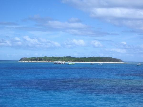 Lady Musgrave island and the surrounding lagoon.