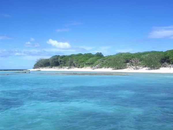 Lady Musgrave island and the surrounding lagoon.
