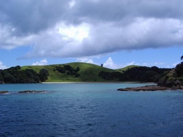Bay of islands. On the dolphin day.
