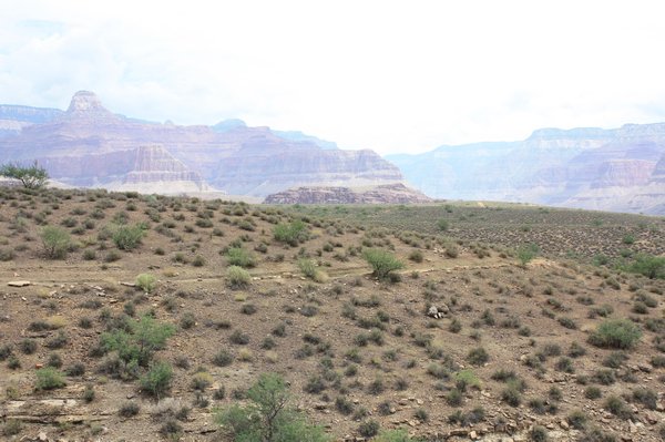 Grand Canyon 345