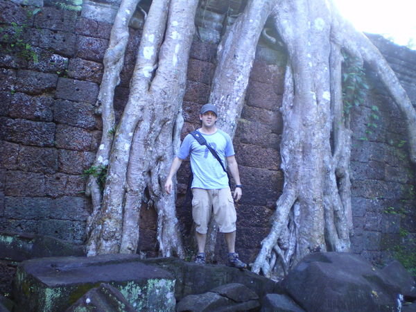 Tree Roots and me