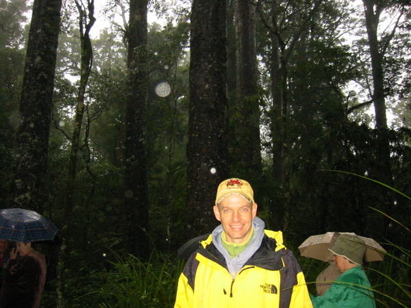 Brian in the Rainy Forest