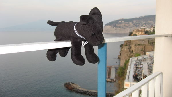 Hanging out in Sorrento