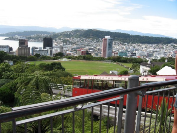 view of Wellington