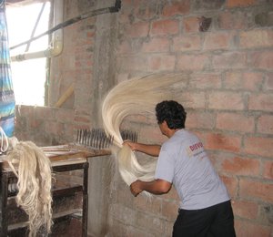 Maaking agave fiber