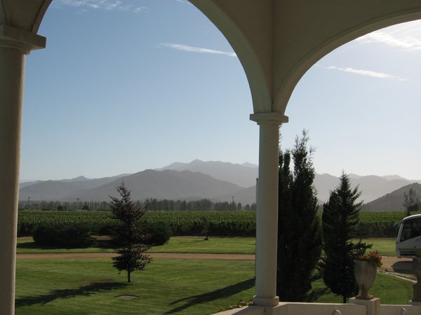 A view from the winery