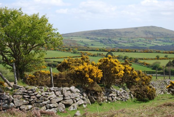 Paysage du Dartmoor