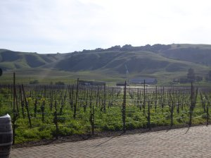 Winery in Sonoma