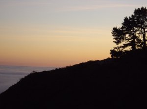 Sunset in San Fran