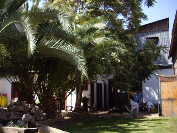 Casa Roja garden
