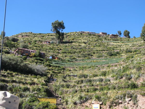 Terraced slopes