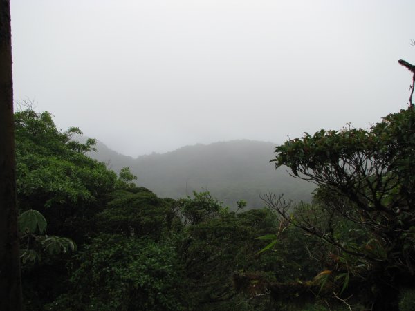 the cloud forest: Santa Elena