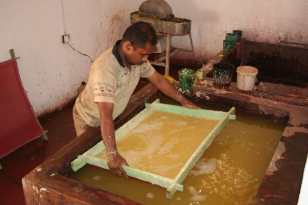 Elephant poo paper production, Pinnawala