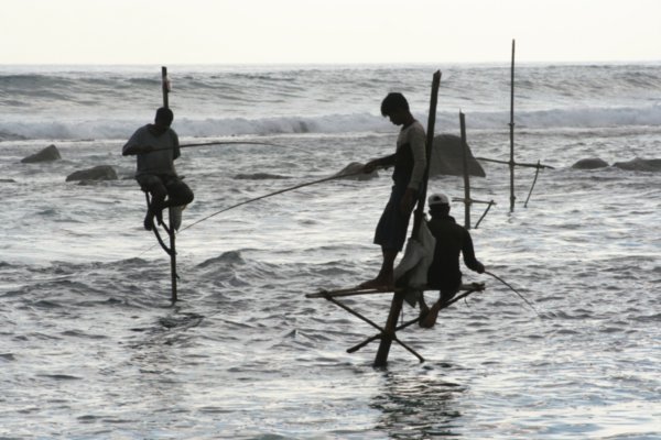Stilt fishermen, Koggala