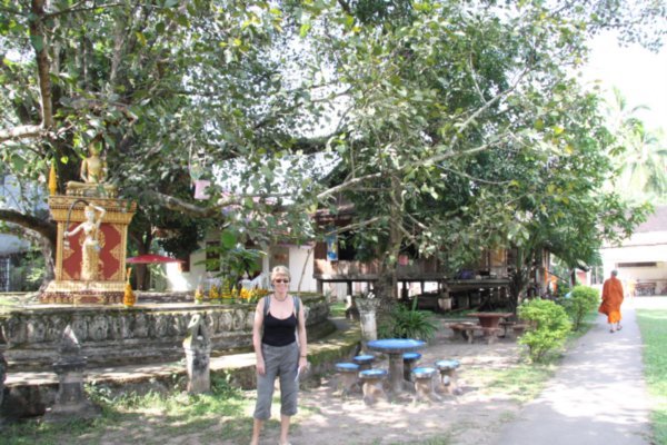 C at Wat Visounnarath, Luang Prabang