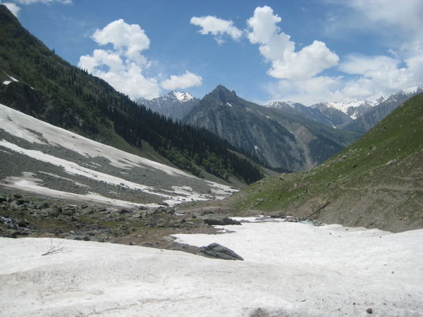 Kashmir- Sonmarg