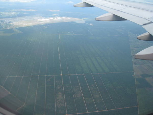 Malysia - Rubber plantations