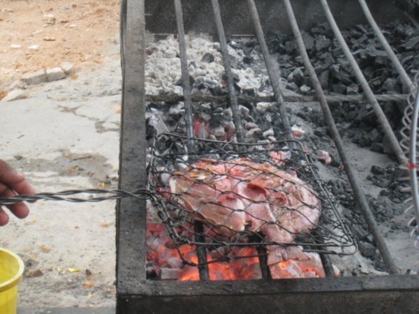 Fish grill