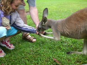 Me Feeding a Kangaroo