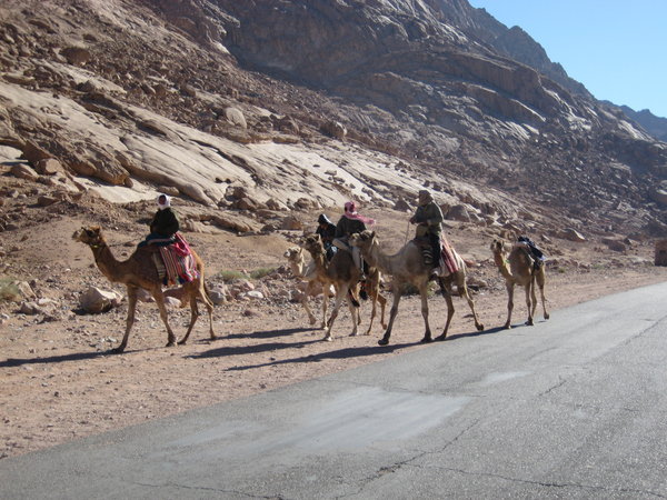 Bedouins on their way